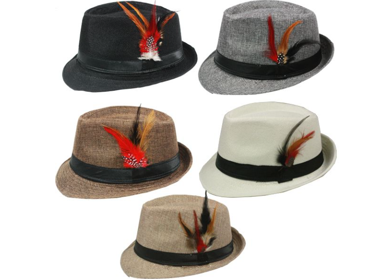Trilby Fedora Hat with a Feather