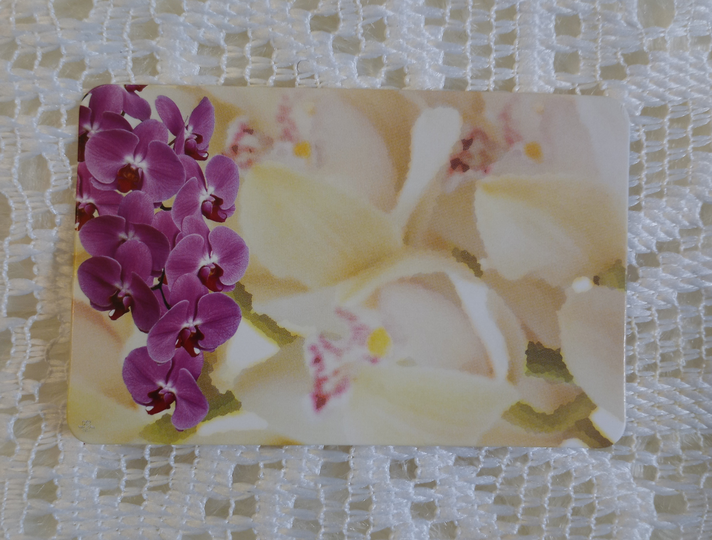 Purple Flower Cream Background Blank